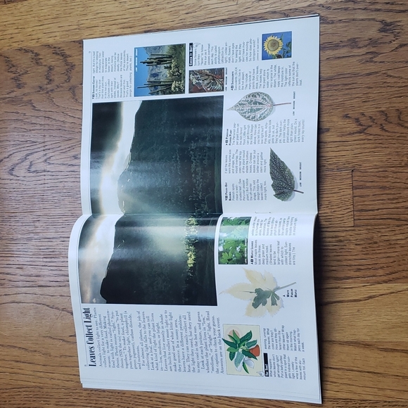 Vintage 90s Kids Discover Magazine Light Volume 3 Issue 8 October 1993 - Picture 5 of 11